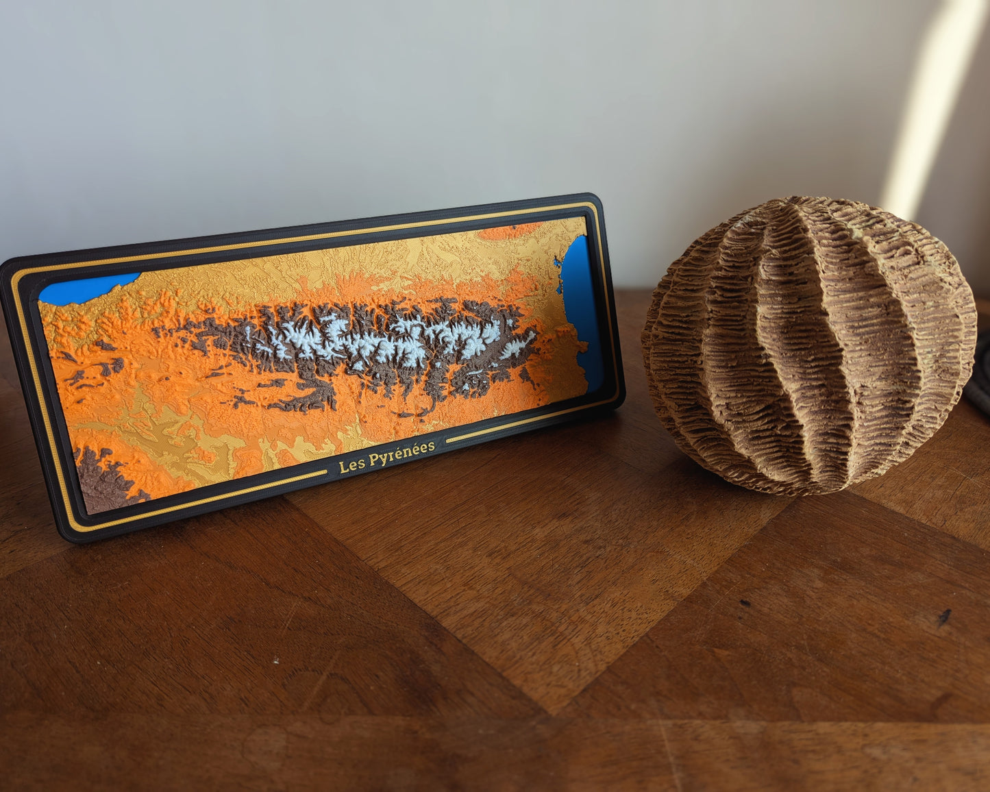 Pyrénées - Carte topographique en relief 3D