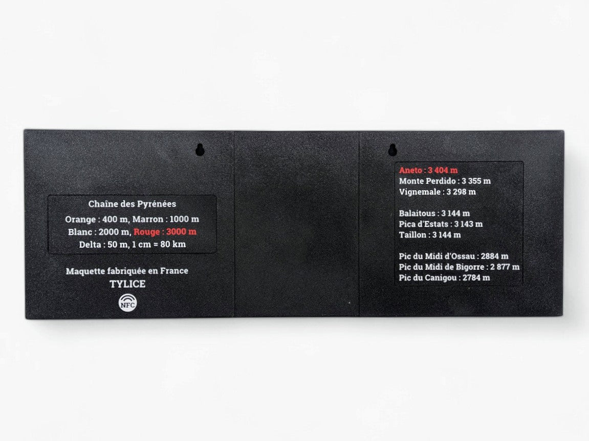 Pyrénées - Grand format - Carte topographique en relief 3D